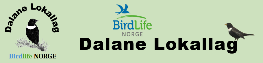 Dalane Lokallag | BirdLife Norge