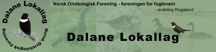 NOF Dalane Lokallag